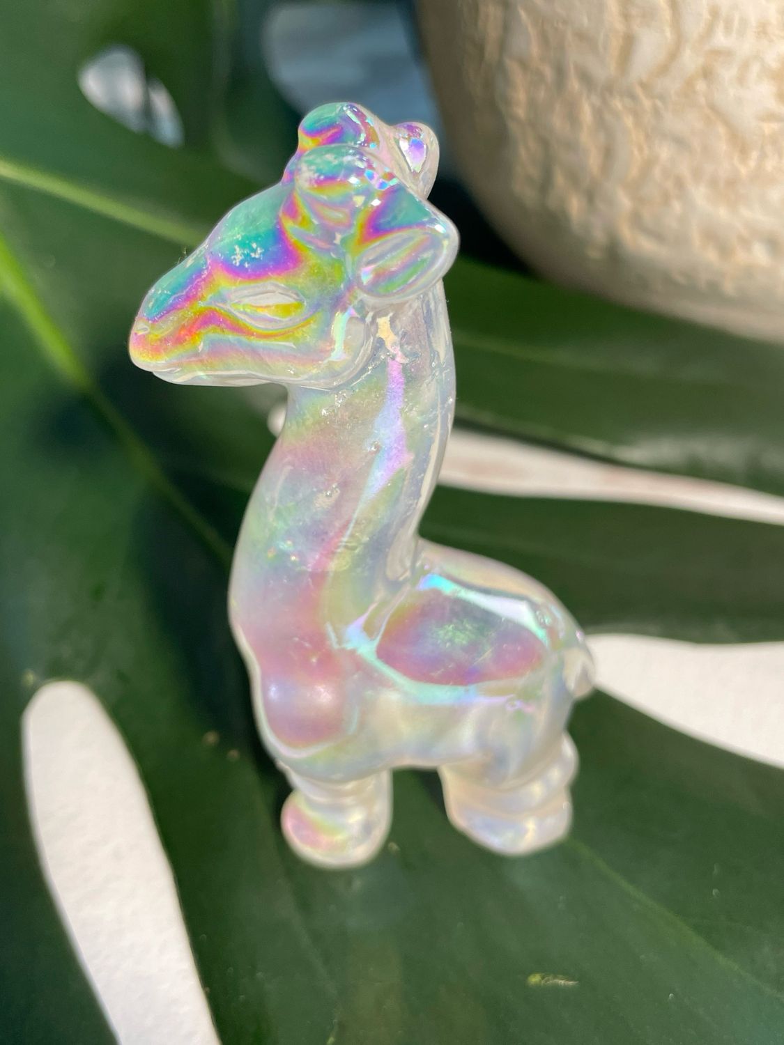 Giraffe x Angel aura Rosenquarz