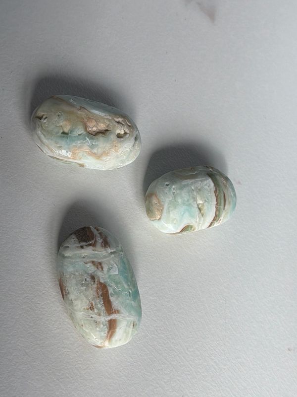 Karibischer Calcit Palmstein Karibischer Calcit Palmstein