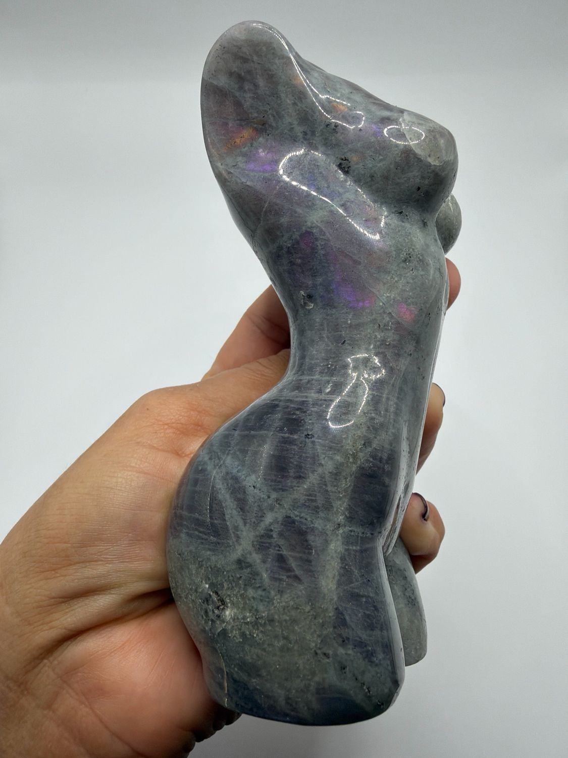 Body Labradorit XL- B-Ware