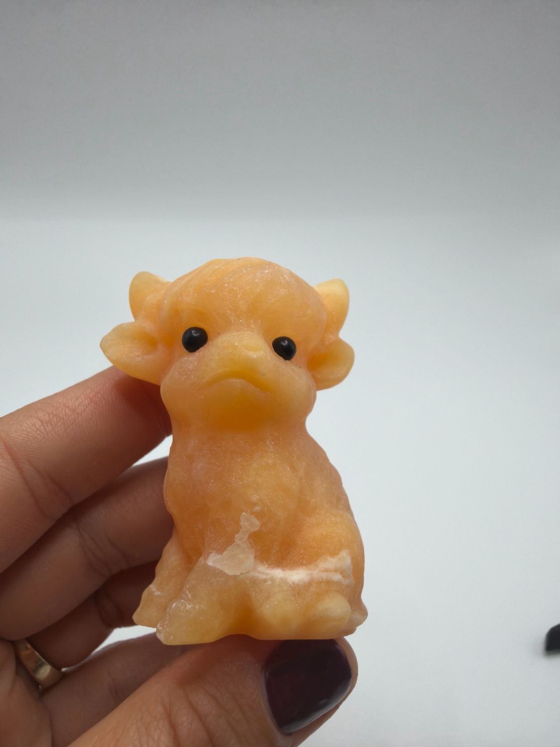 Hochlandrind Orangencalcit Hochlandrind Orangencalcit