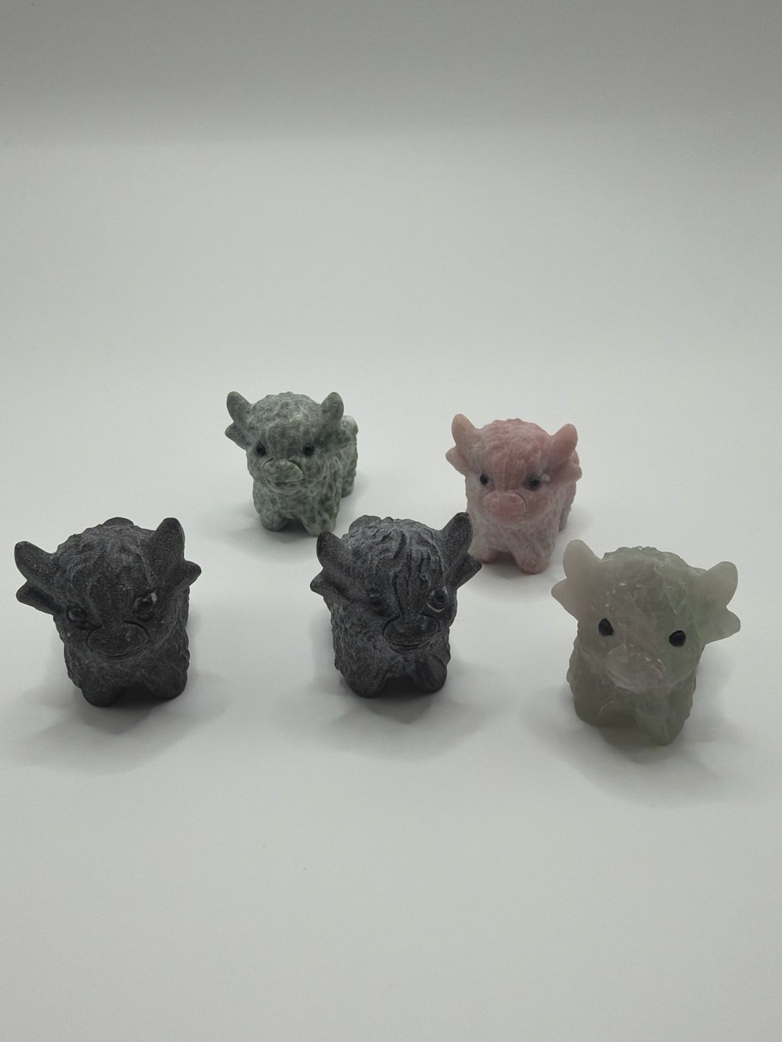 Mystery Hochlandrind-B-Ware, da nicht schön poliert