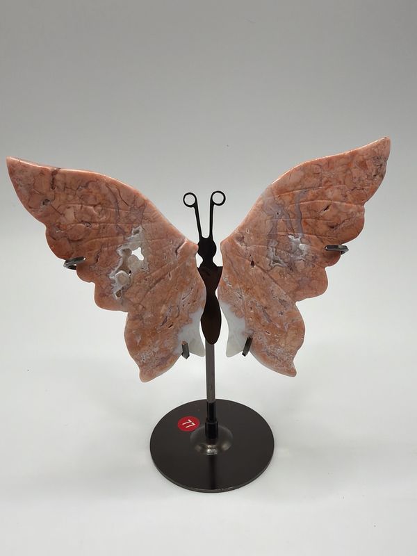 Schmetterling pink Achat