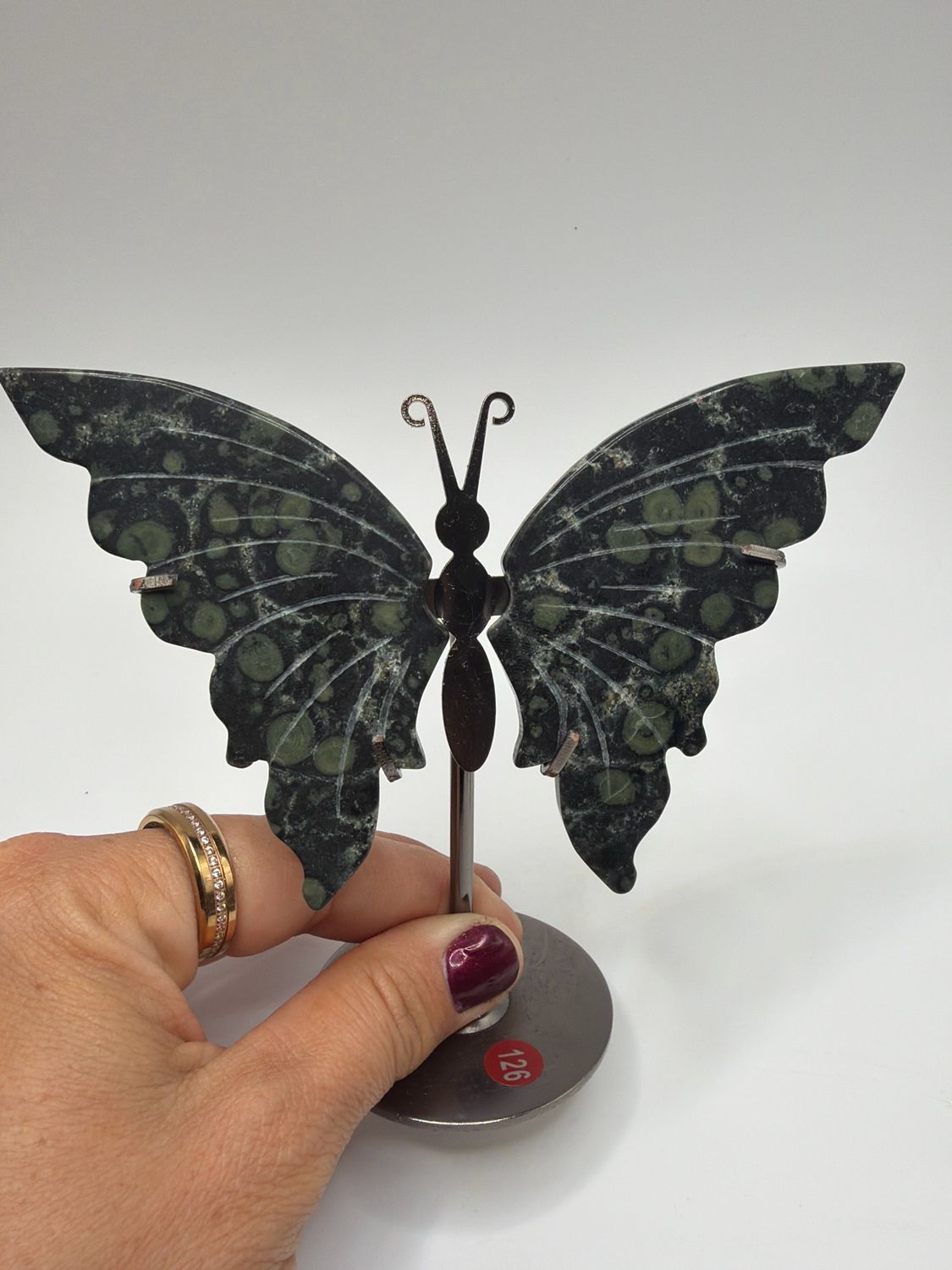 Schmetterling Kambaba Jaspis