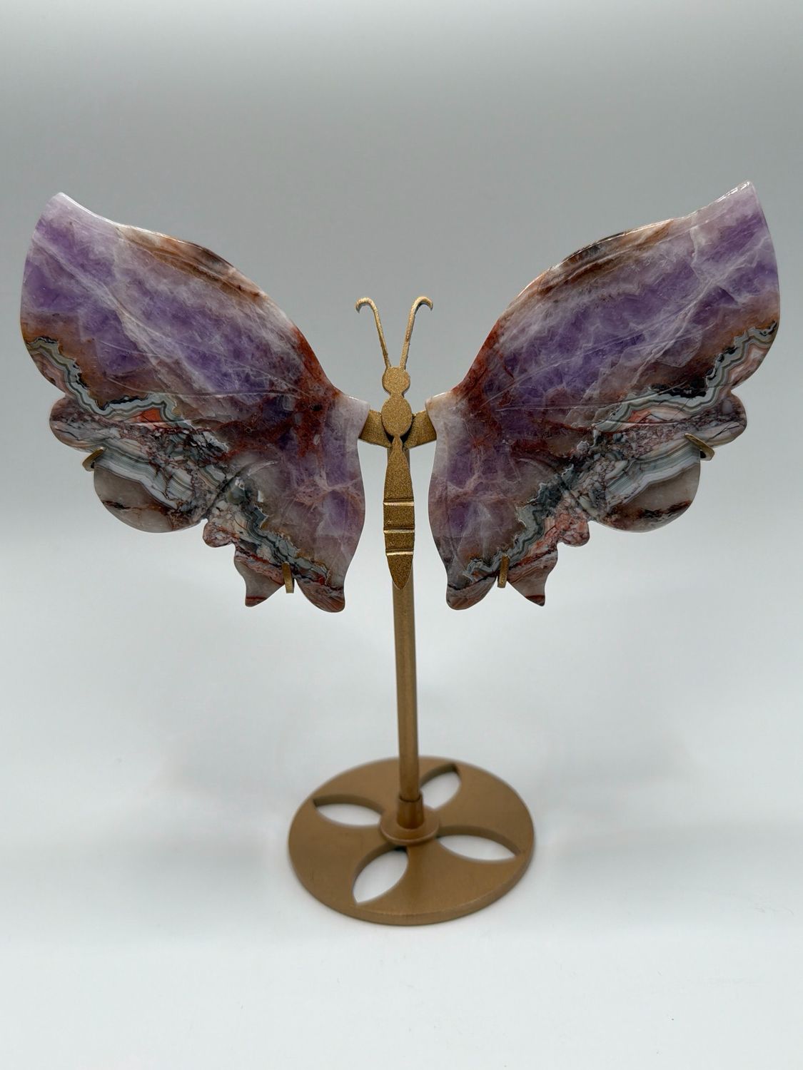 Schmetterling Amethyst x mex.lace Acha