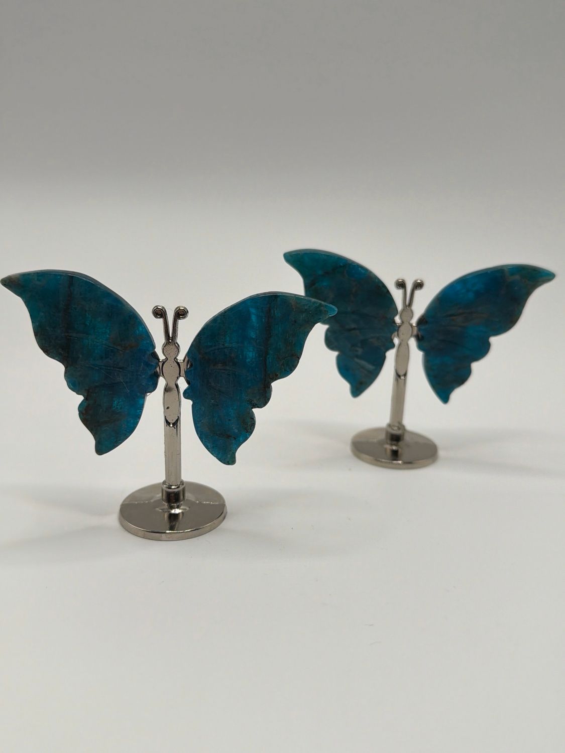 Schmetterling x Apatit