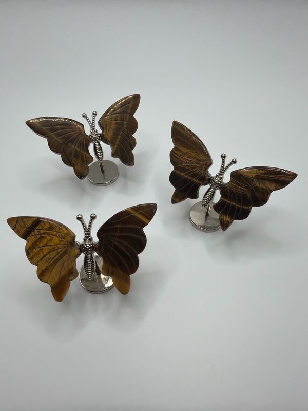 Schmetterling x gelbes Tigerauge