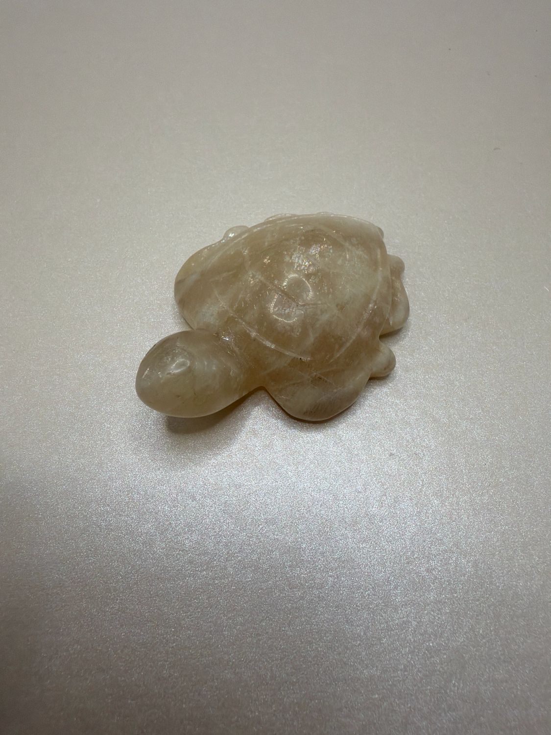 B- Ware Schildkröte x Mondstein kein Flash