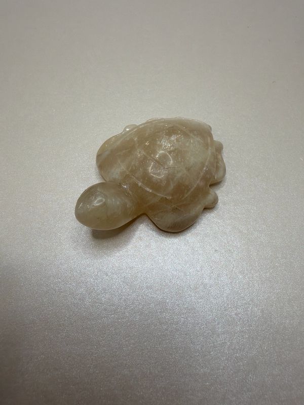 B- Ware Schildkröte x Mondstein kein Flash