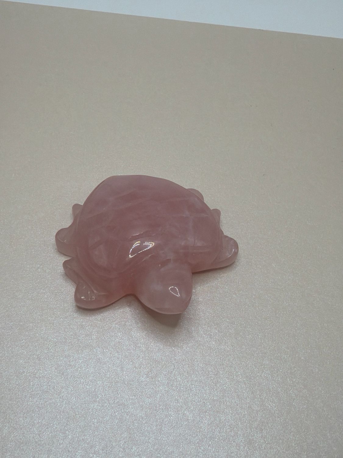 Schildkröte x Rosenquarz Schildkröte x Rosenquarz