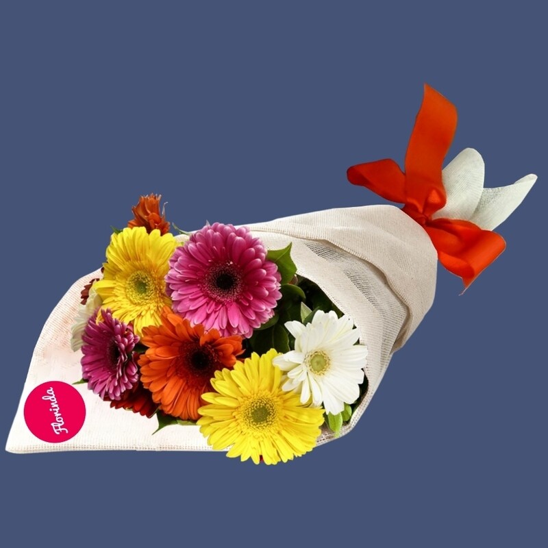DE GERBERAS