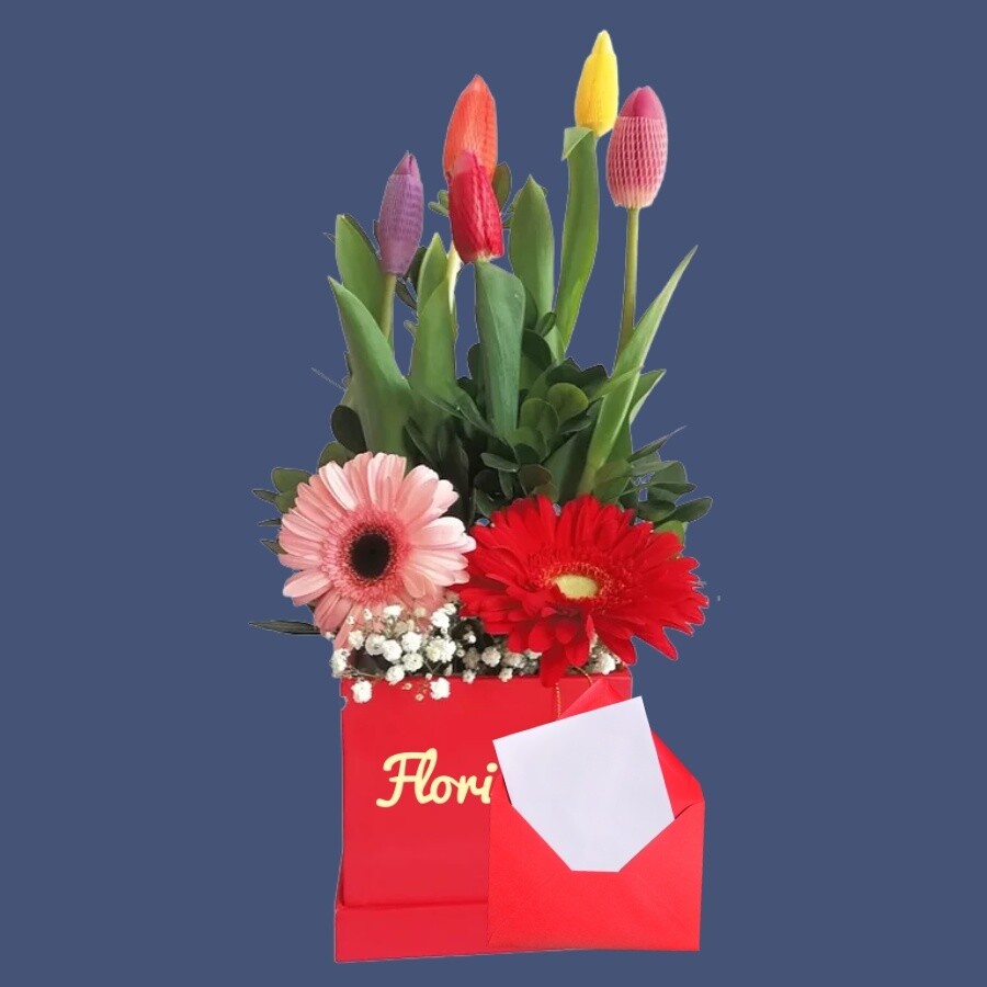 Box de tulipanes