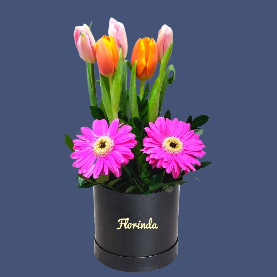 Sombrerera de 5 tulipanes y gerberas