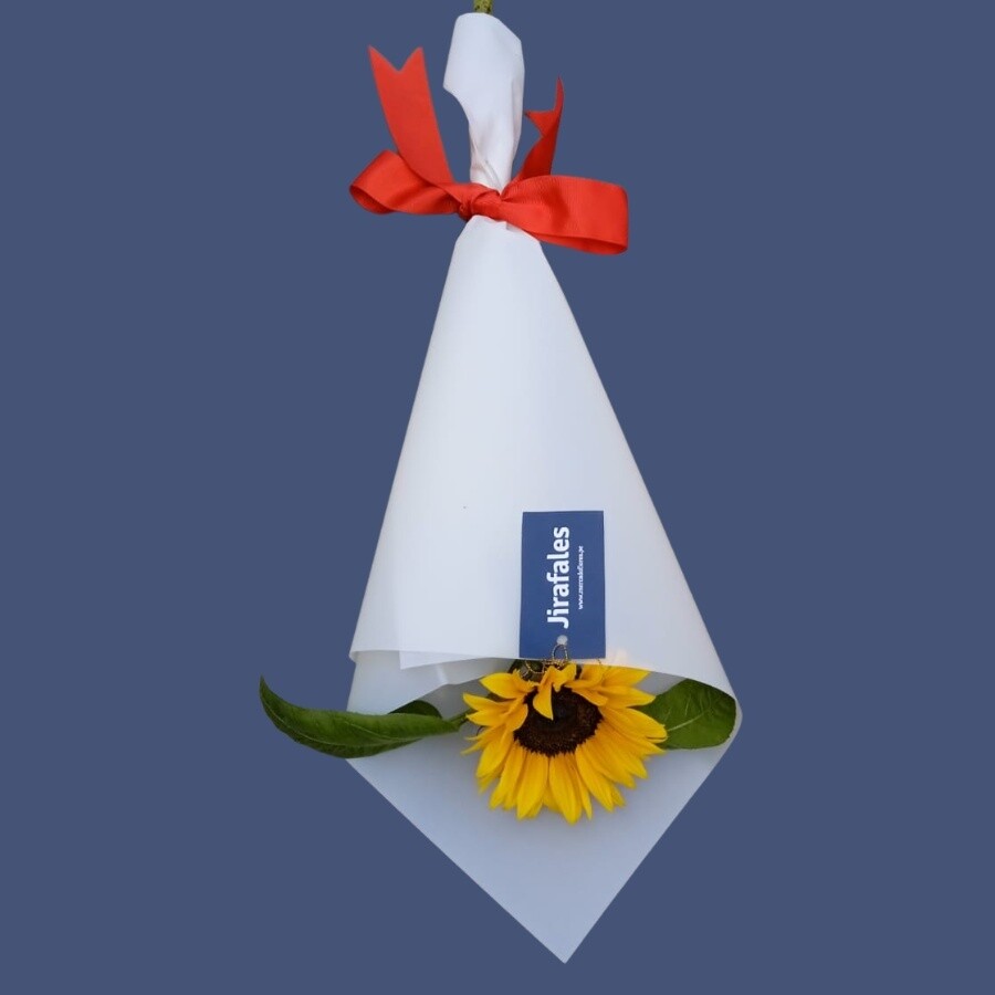 Ramo de 1 girasoles - Compra mínima 10 ramos