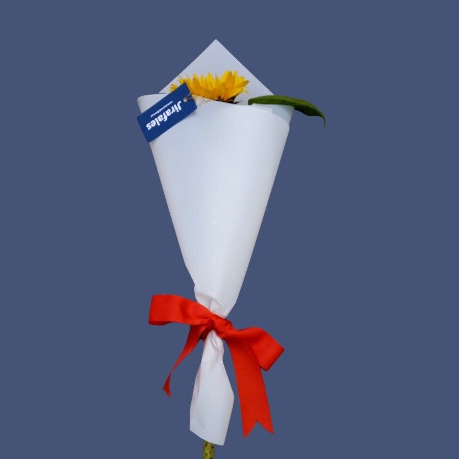 Ramo de 1 girasoles - Compra mínima 10 ramos