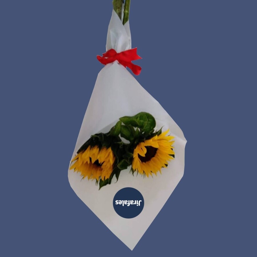 Ramo de 2 girasoles - Compra mínima 10 ramos