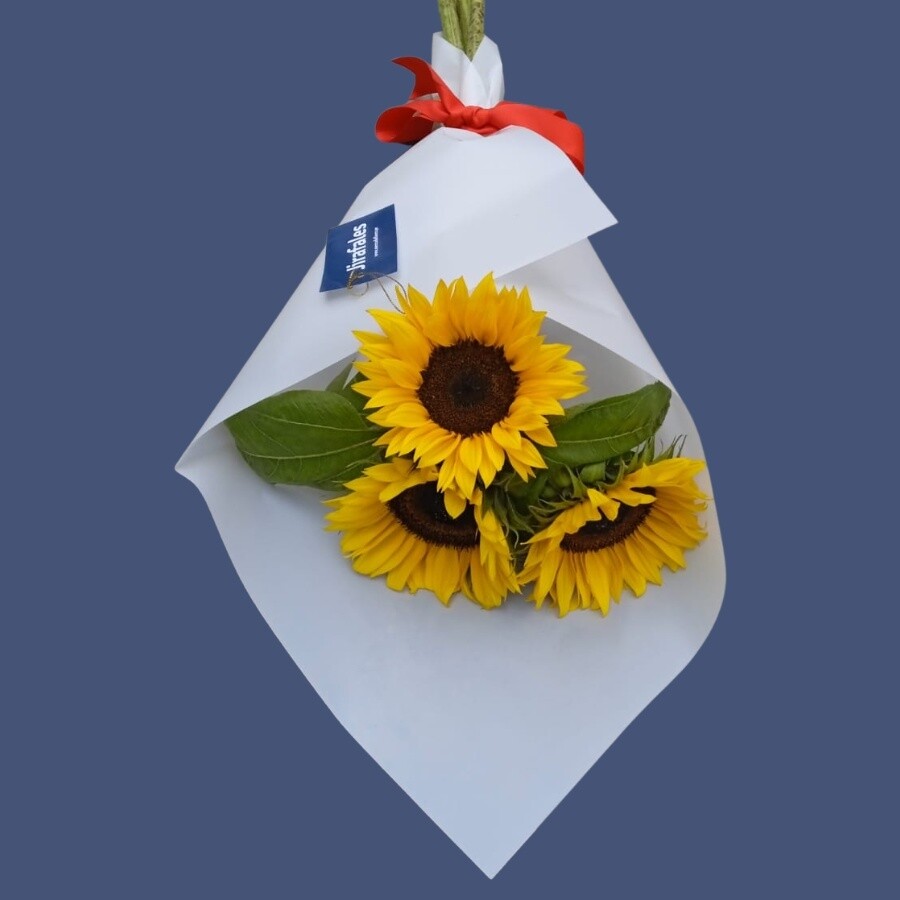 Ramo de 3 girasoles - Compra mínima 6 ramos