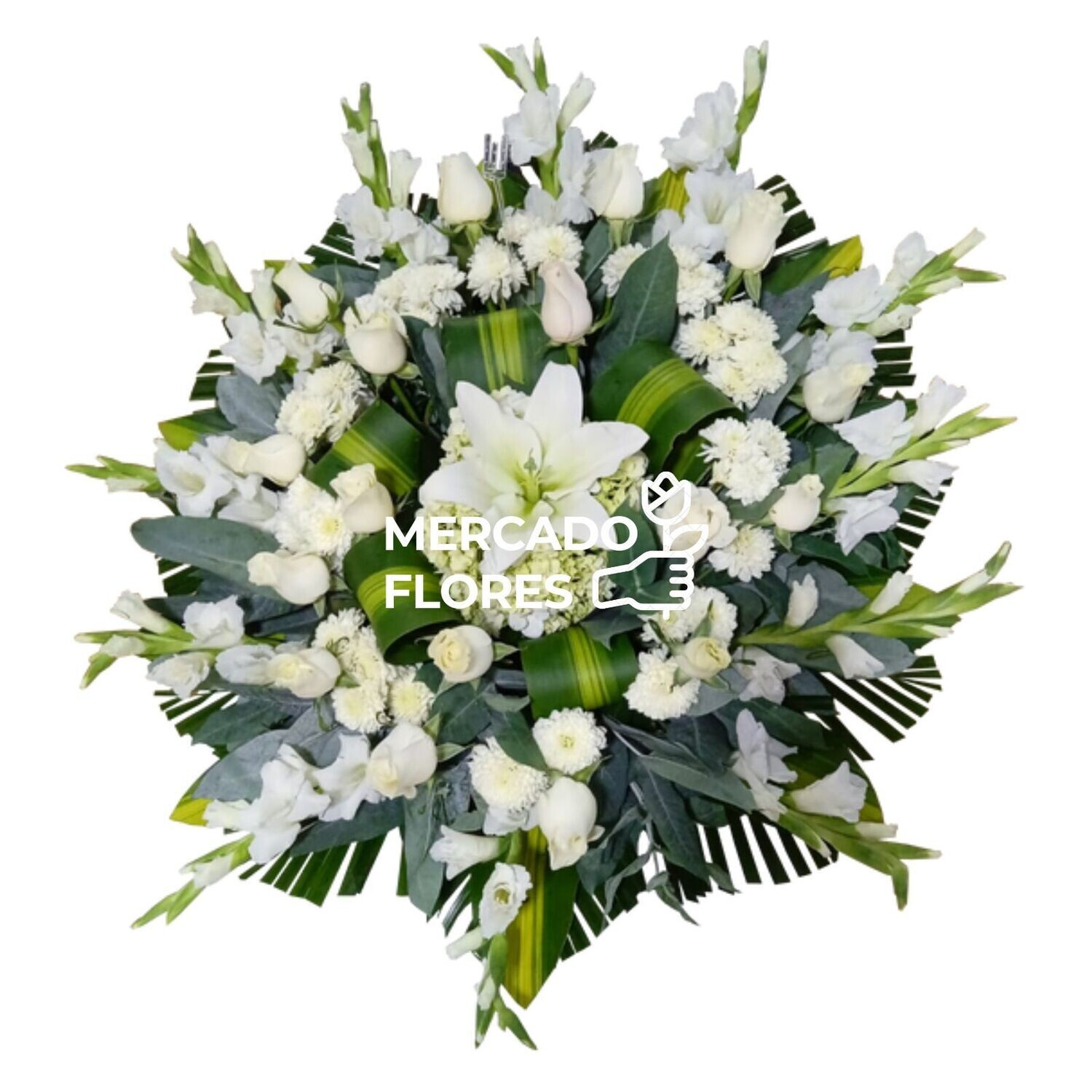 Lagrima Fúnebre 41