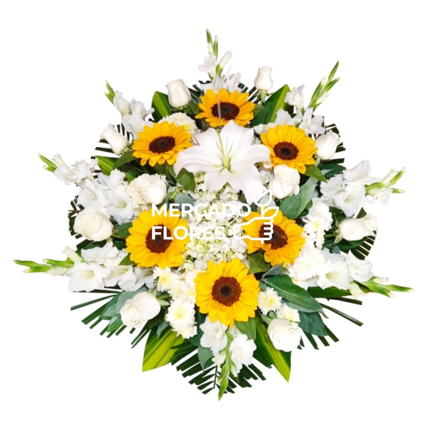 Lagrima Fúnebre 43