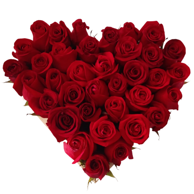 ARREGLOS DE FLORES CON ROSAS