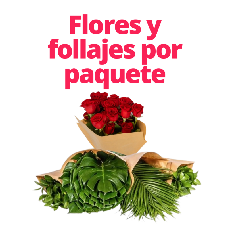 FLORES POR PAQUETE