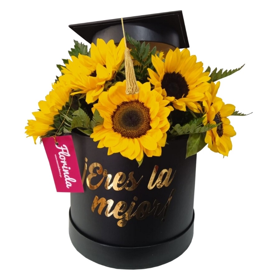 BOX TOP GRADUACIÓN - ERES LA MEJOR