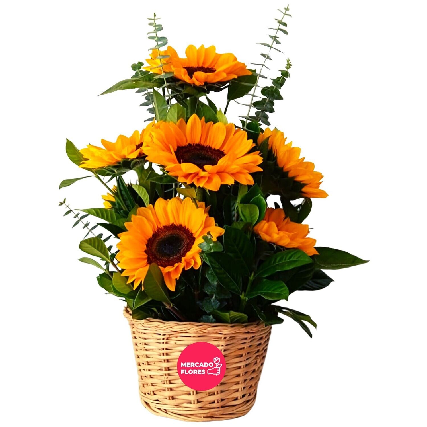 Cesto de mimbre con Girasoles y verdes selectos