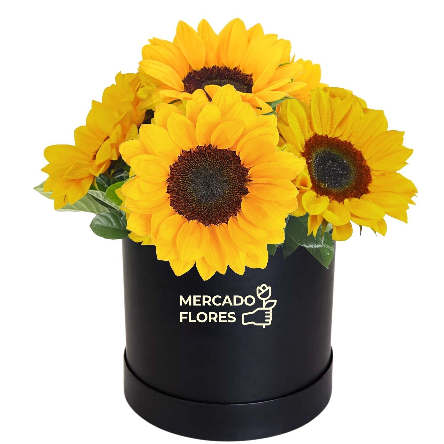 Elegante sombrerera con 6 girasoles y verdes selectos