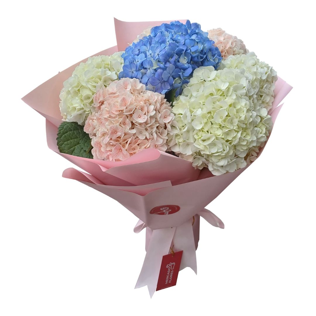 Ramo de hortensias  de vivero -  Colores naturales