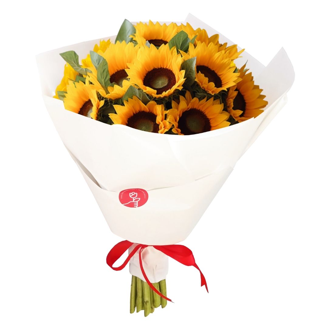 RAMO DE 10 GIRASOLES FRESCOS - DE VIVERO - PREMIUM