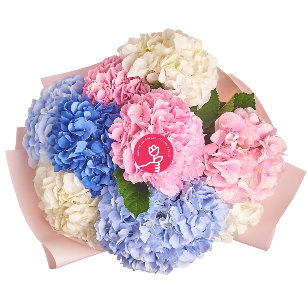 RAMO DE HORTENSIAS COLORES VARIADOS