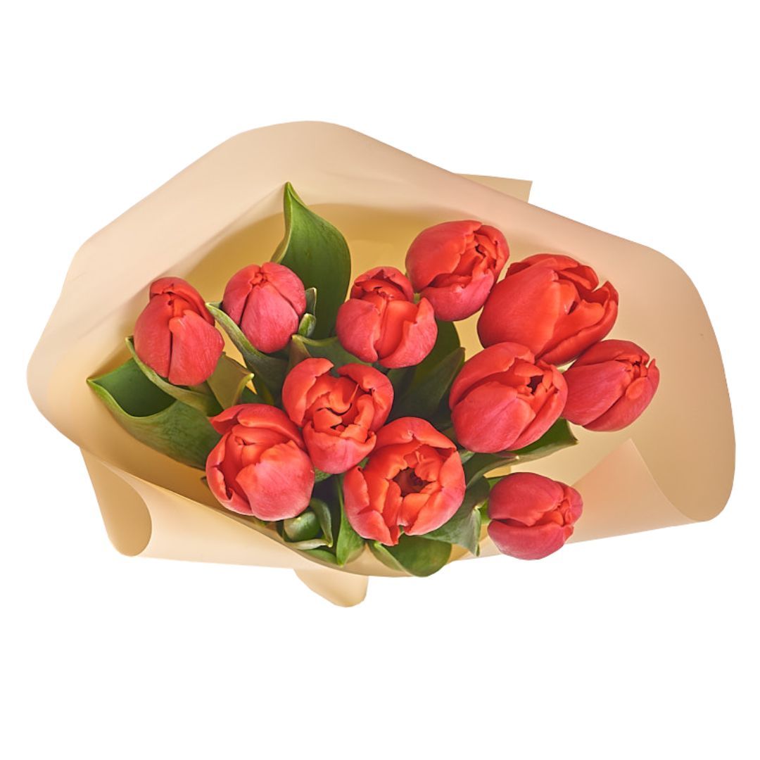 Ramo de tulipanes color rojo - 10 tulipanes