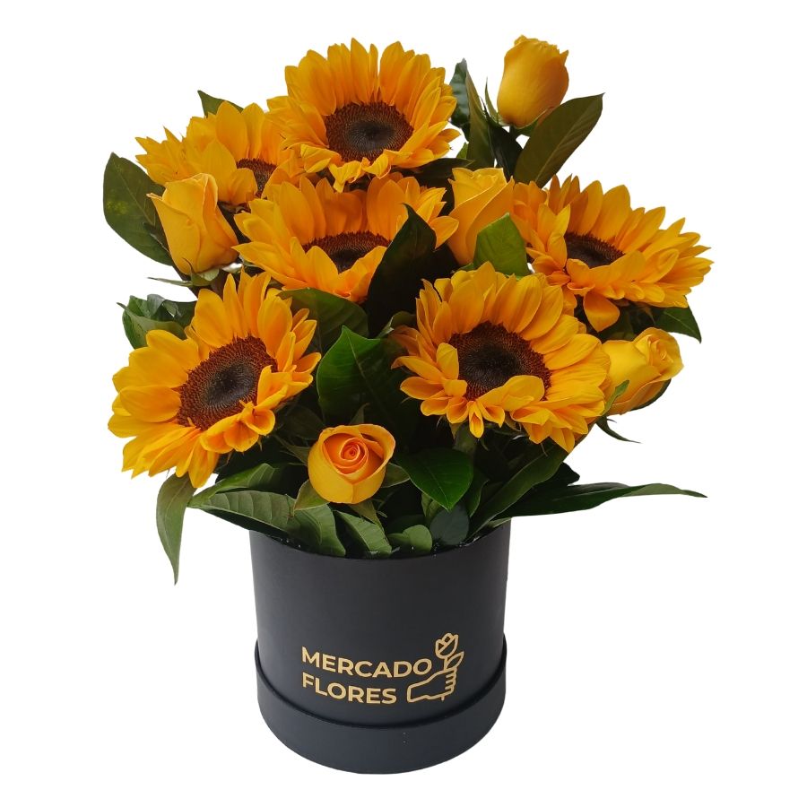 Sombrerera con Girasoles, rosas y verdes selectos