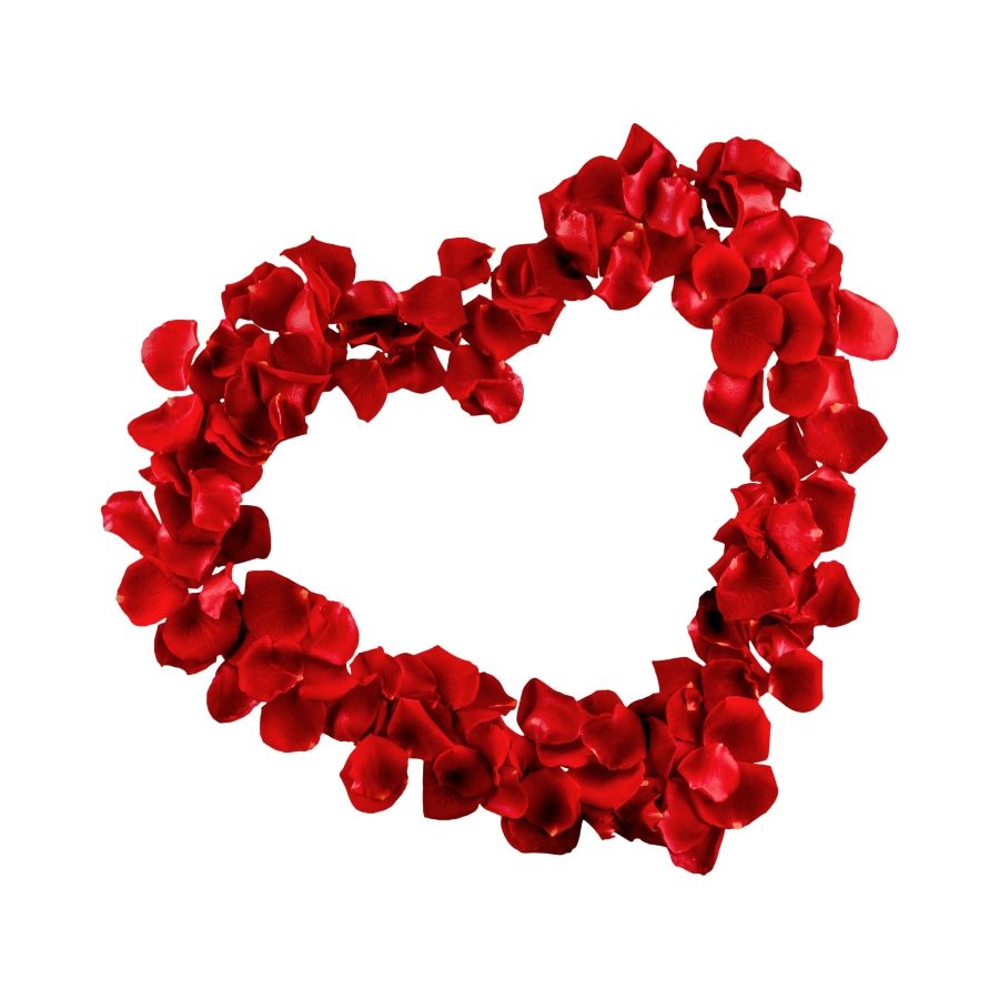 Pétalos de rosas - Caja con 200 pétalos de rosas frescas