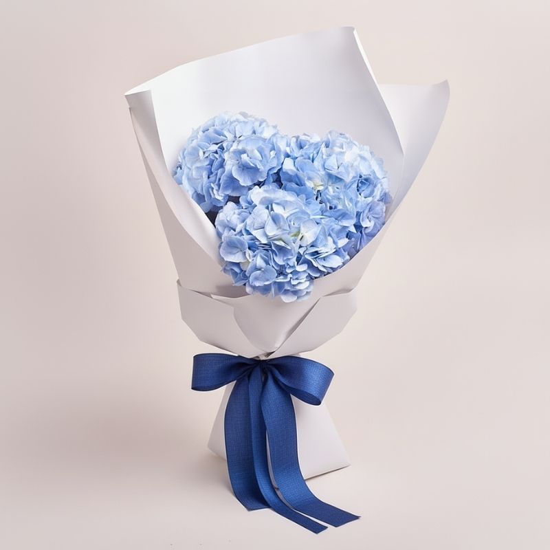 Guía de Cuidados: Cómo mantener tus Hortensias frescas por más tiempo