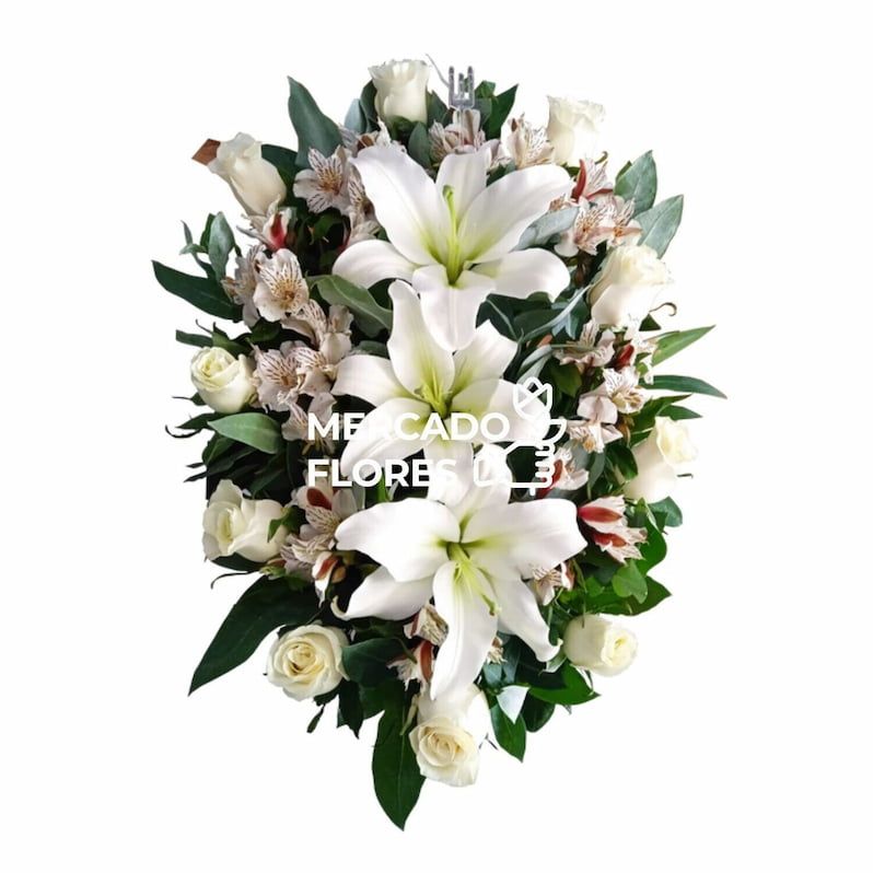 Lagrima Fúnebre