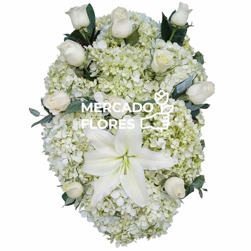 Lagrima Fúnebre  - Lágrima Blanca de Paz