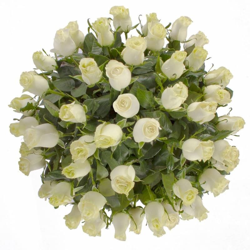 Arreglo Fúnebre 02- Elegante sombrerera con 50 rosas blancas