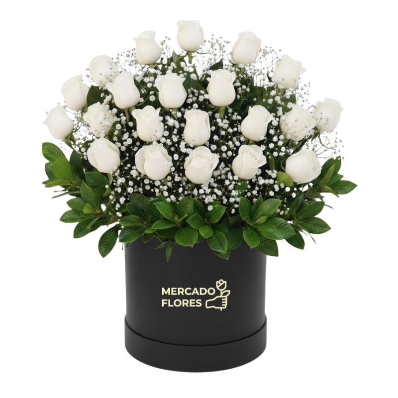 Eterna Memoria - Paz 🕊️