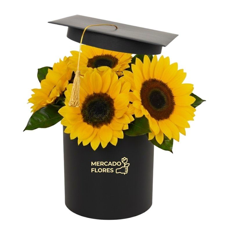 Arreglo para Graduación - Box Girasol Élite 🎓