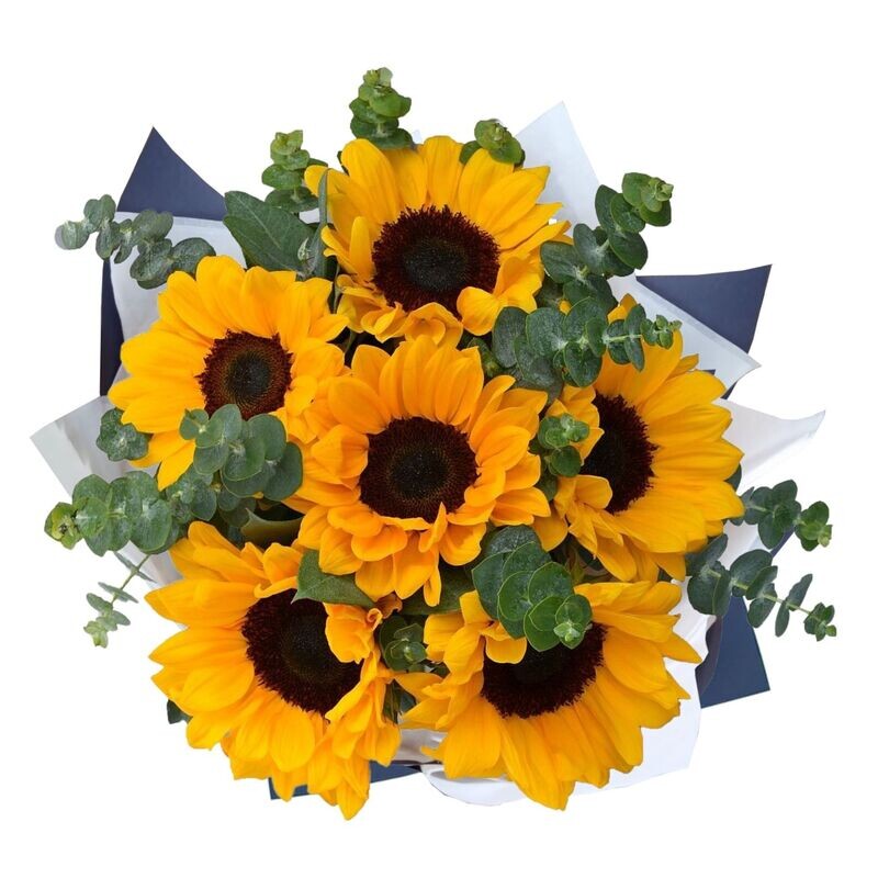 Ramo de girasoles debidamente seleccionados en envoltura de paño fino - MERCADO FLORES®