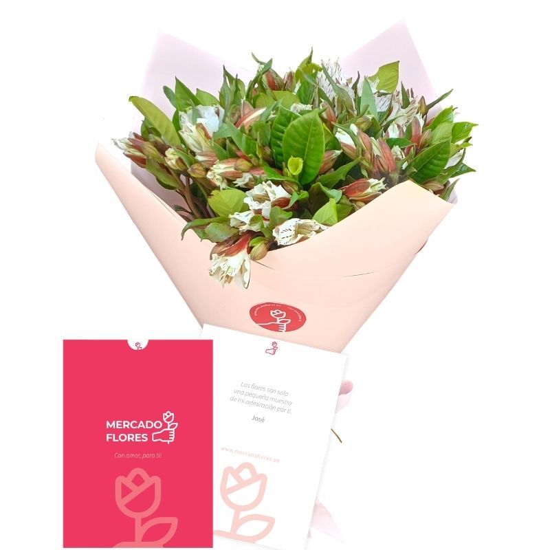 Premium alstroemeria bouquet with elegant wrapping and signature bow - MERCADO FLORES®