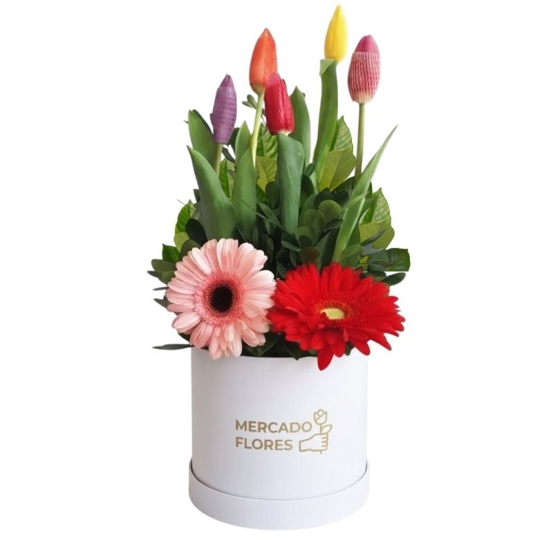 Mix de Alegría - Premium white hatbox with multicolored tulips, gerberas, and gardenia leaves. Flower delivery Lima - MERCADO