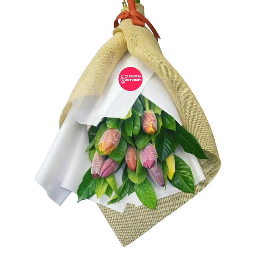 Ramo de 10 tulipanes multicolores y verdes selectos premium