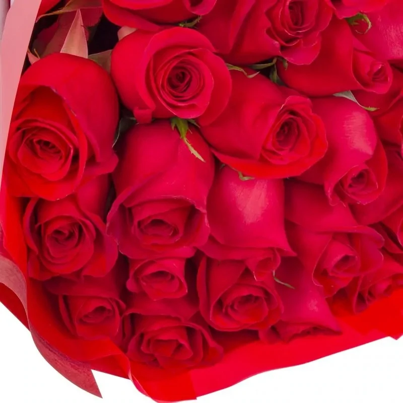 Ramo con 26 rosas rojas de tallo largo