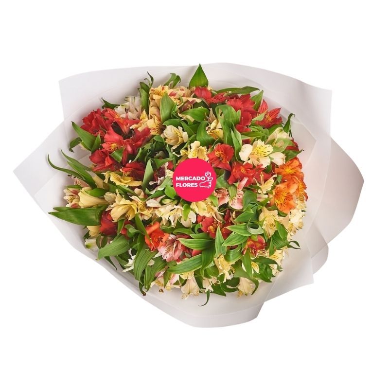 Multicolor alstroemerias with select greenery in premium white wrapping - MERCADO FLORES®