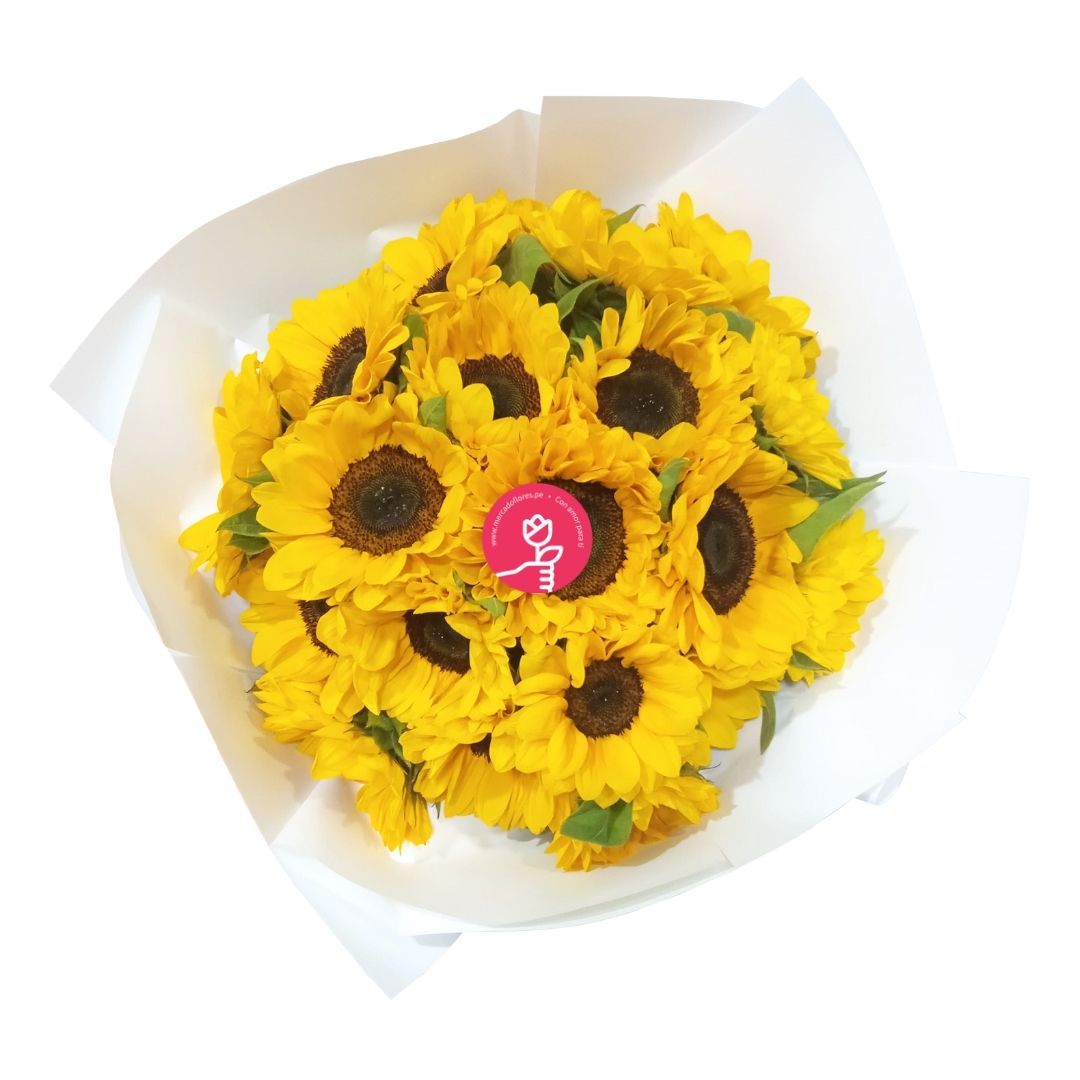 RAMO DE 20 GIRASOLES