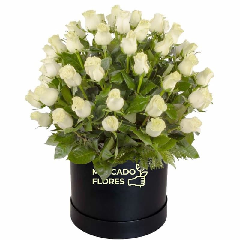 Arreglo Fúnebre 02- Elegante sombrerera con 50 rosas blancas