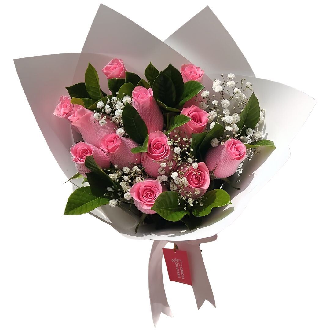 Ramo de 12 rosas rosadas con Gypsophila y verdes selectos