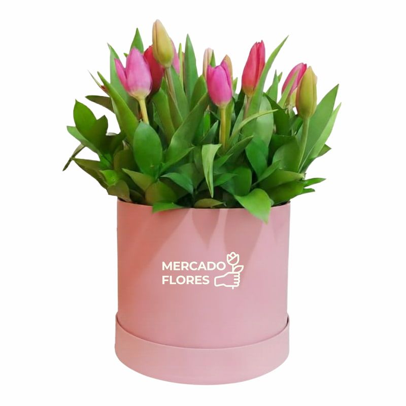10 multicolored tulips in a premium pink hatbox with gardenia leaves. Flower delivery Lima - MERCADO FLORES®.
