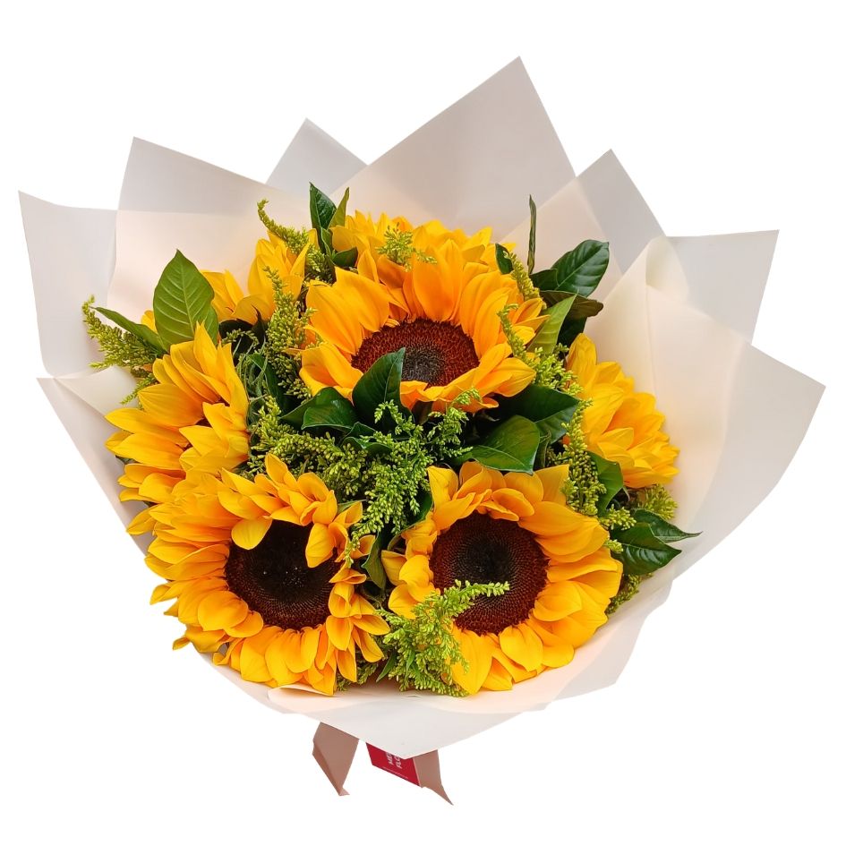RAMO DE 7 GIRASOLES FRESCOS, SOLIDAGO Y VERDES SELECTOS